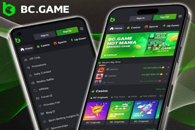 BC Game Indonesia Contacts How to Reach Us